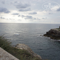 фото из отзыва ID 1471292