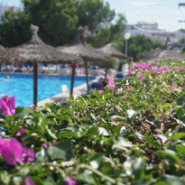 фото из отзыва ID 1471292