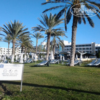 фото из отзыва ID 1471455