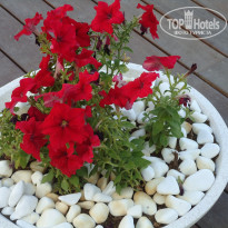 фото из отзыва ID 1471468