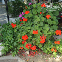 фото из отзыва ID 1471468