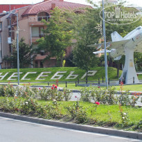 фото из отзыва ID 1471388