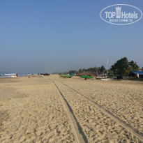 фото из отзыва ID 1471517