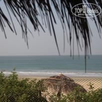 фото из отзыва ID 1471517