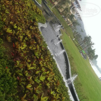 фото из отзыва ID 1471598