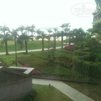 фото из отзыва ID 1471598