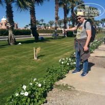 фото из отзыва ID 1471665