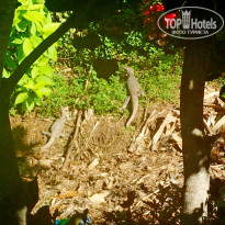 фото из отзыва ID 1471795