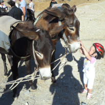 фото из отзыва ID 1471801