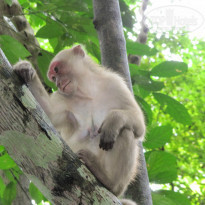 фото из отзыва ID 1471843