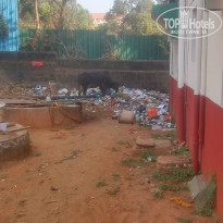 фото из отзыва ID 1472007