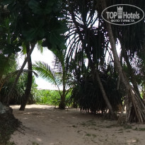 фото из отзыва ID 1472016