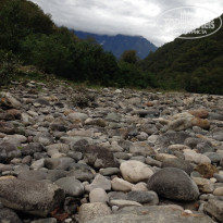 фото из отзыва ID 1472154