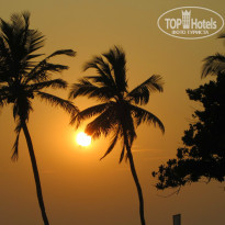 фото из отзыва ID 1472180