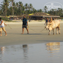 фото из отзыва ID 1472180