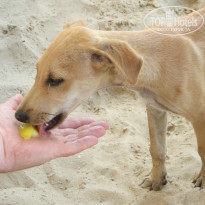 фото из отзыва ID 1472180