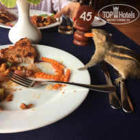 фото из отзыва ID 1472256