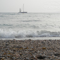 фото из отзыва ID 1472281