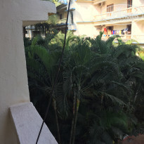 фото из отзыва ID 1472309