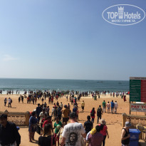 фото из отзыва ID 1472309