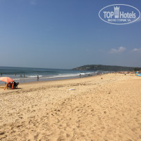 фото из отзыва ID 1472309