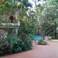 фото из отзыва ID 1472328