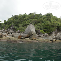 фото из отзыва ID 1472365