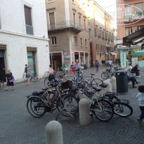 фото из отзыва ID 1472375