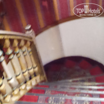 фото из отзыва ID 1472392