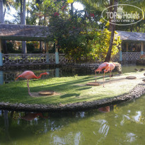 фото из отзыва ID 1472548