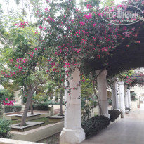 фото из отзыва ID 1472556