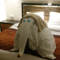 фото из отзыва ID 1472573