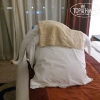 фото из отзыва ID 1472573