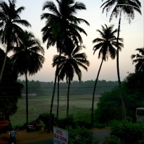 фото из отзыва ID 1471993