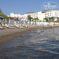 фото из отзыва ID 1472757