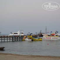 фото из отзыва ID 1472793