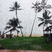 фото из отзыва ID 1472855