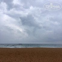 фото из отзыва ID 1472855