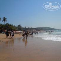 фото из отзыва ID 1472860