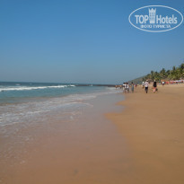 фото из отзыва ID 1472860