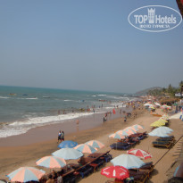 фото из отзыва ID 1472860