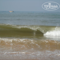 фото из отзыва ID 1472860