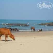 фото из отзыва ID 1472860