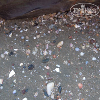 фото из отзыва ID 1472860