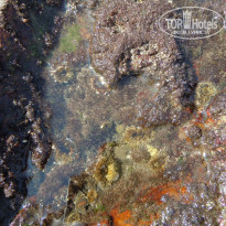 фото из отзыва ID 1472860