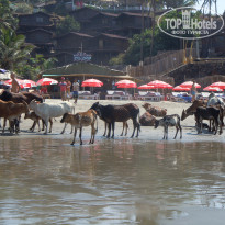 фото из отзыва ID 1472860