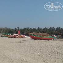 фото из отзыва ID 1472860