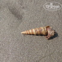 фото из отзыва ID 1472860