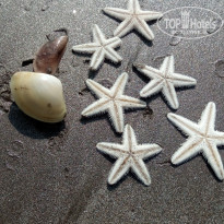 фото из отзыва ID 1472860