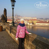 фото из отзыва ID 1472034